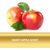 Premium Apple Cider Vinegar Shampoo & Conditioner Set - PureBiology